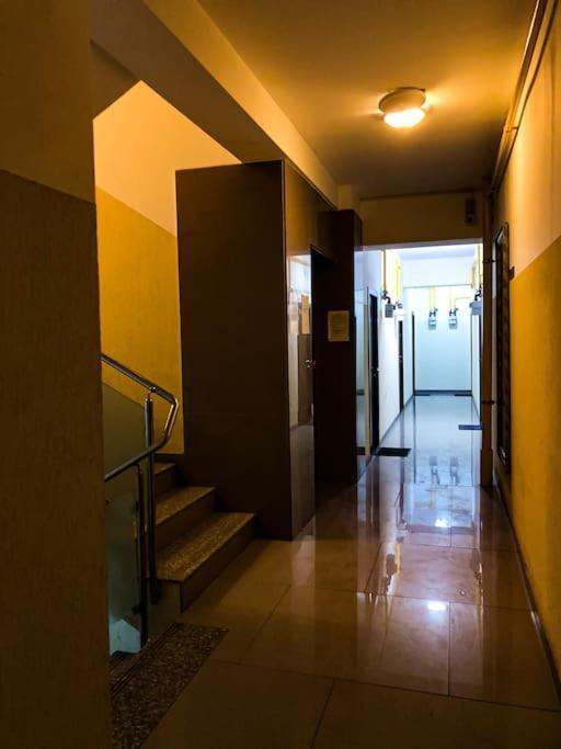 Cazare Iasi Palas Apartment Kültér fotó