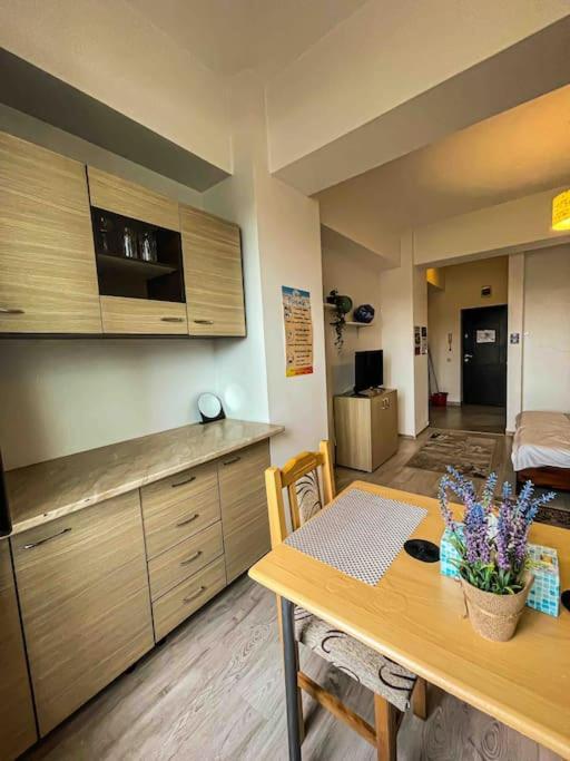 Cazare Iasi Palas Apartment Kültér fotó